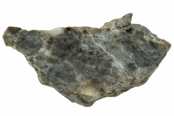 Lunar Meteorite ( g) Section - Laayoune #313366